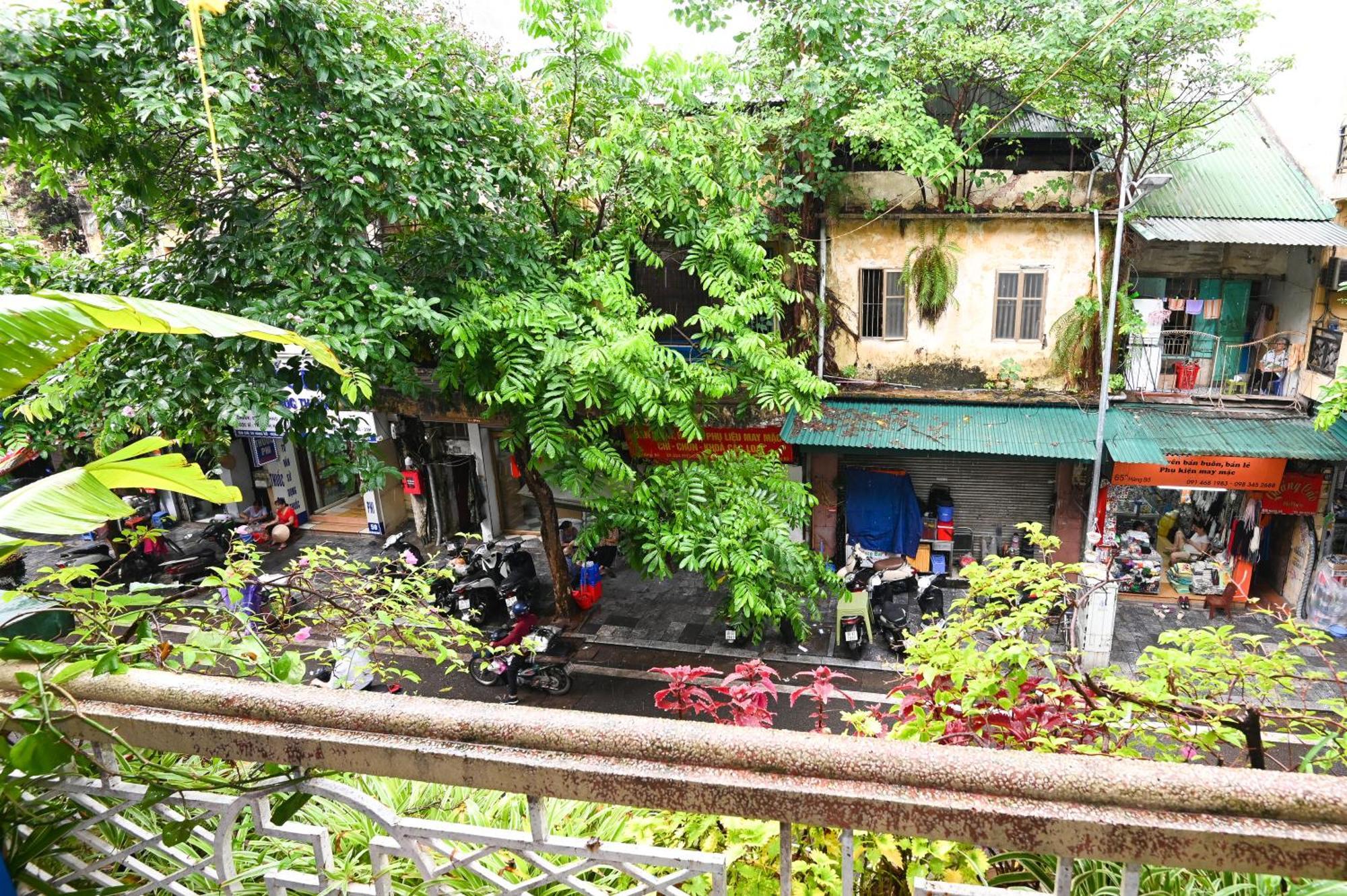 Sunny Hanoi Homestay מראה חיצוני תמונה